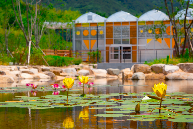 Korean National Garden Culture Center