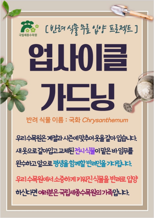 업사이클가드닝-국화