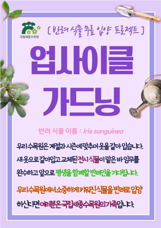업사이클가드닝-붓꽃