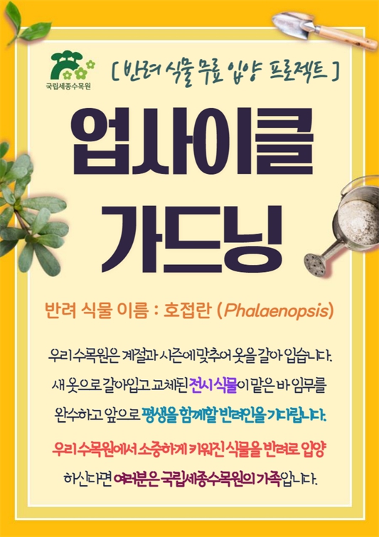 업사이클가드닝-호접란