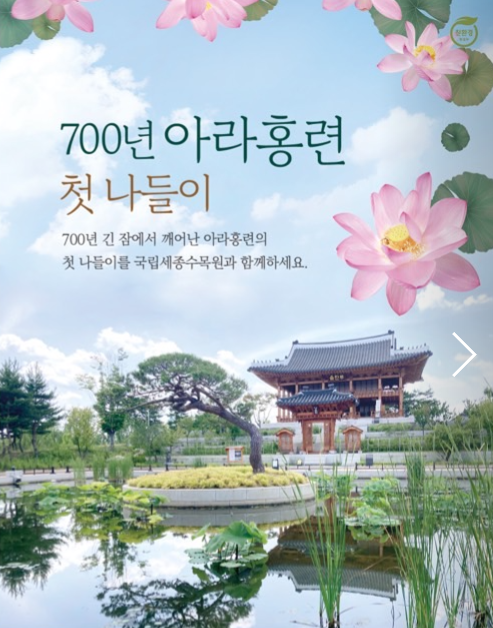 700년 아라홍련, 첫 나들이 셀프교육 리플렛.PNG