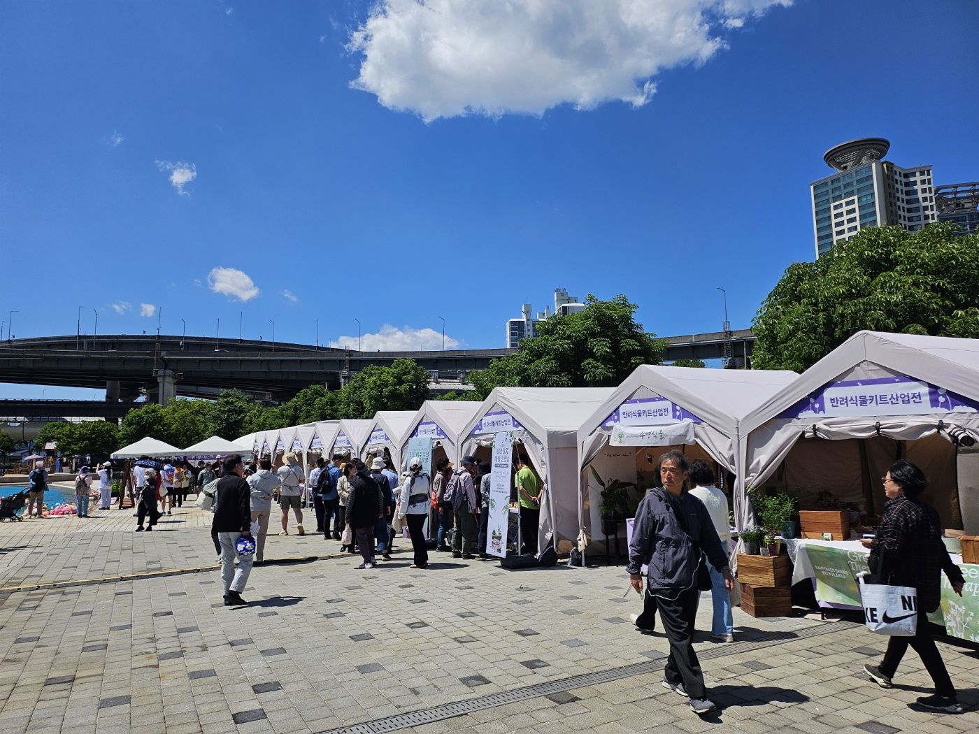 24년 반려식물 키트 산업전 2.jpg