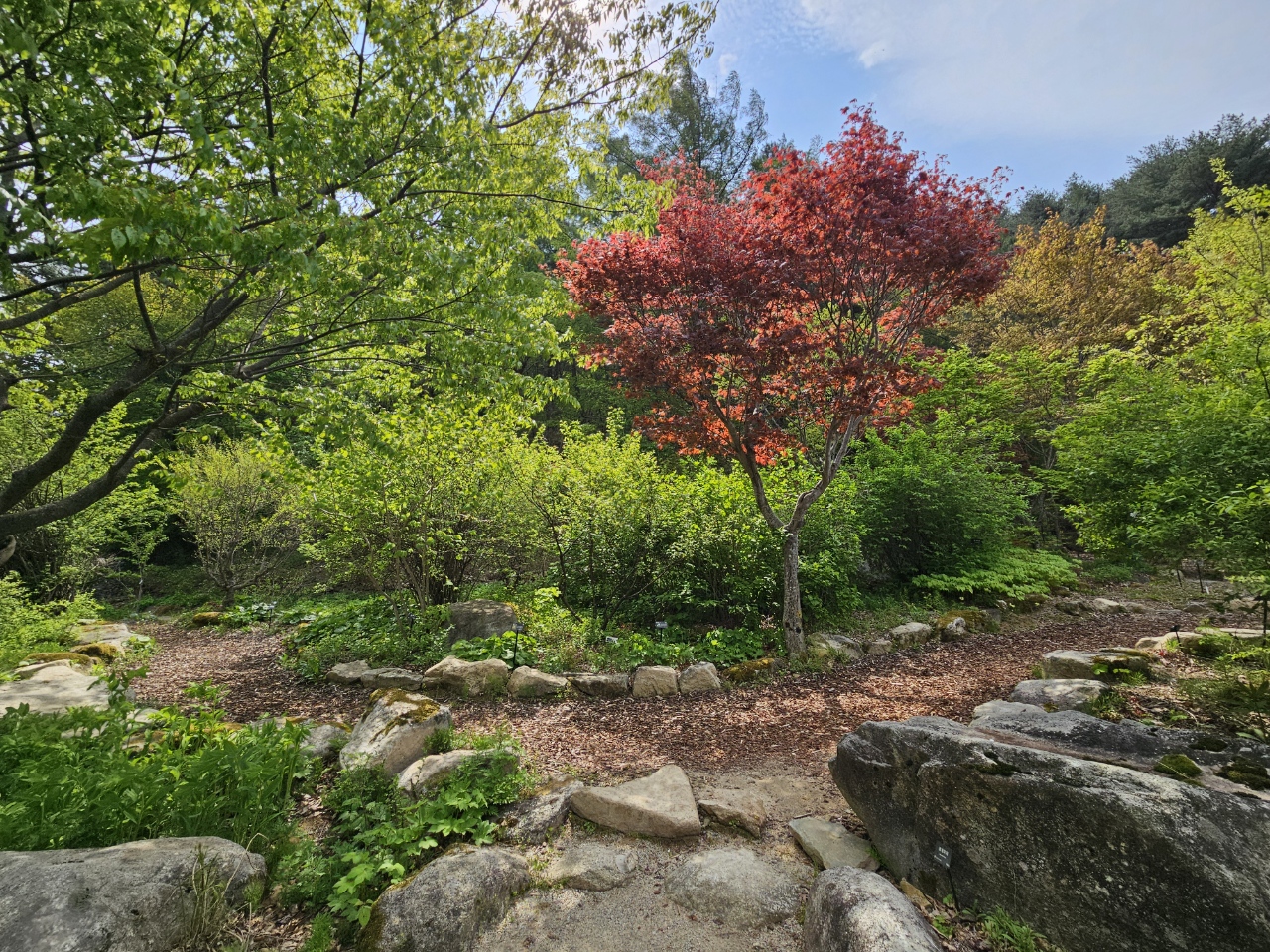 특산식물원 썸네일