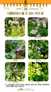 ('25.9.8.)식물원에서 볼 수 있는 우리 꽃.jpg