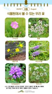 ('25.8.1.)식물원에서 볼 수 있는 우리 꽃.jpg