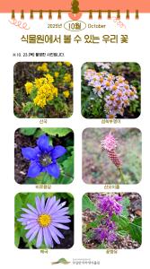 ('25.10.23.)식물원에서 볼 수 있는 우리 꽃.jpg