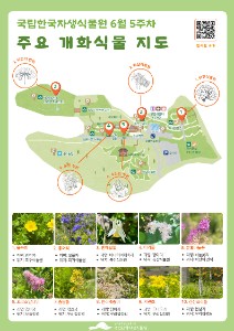 6월 개화식물.jpg