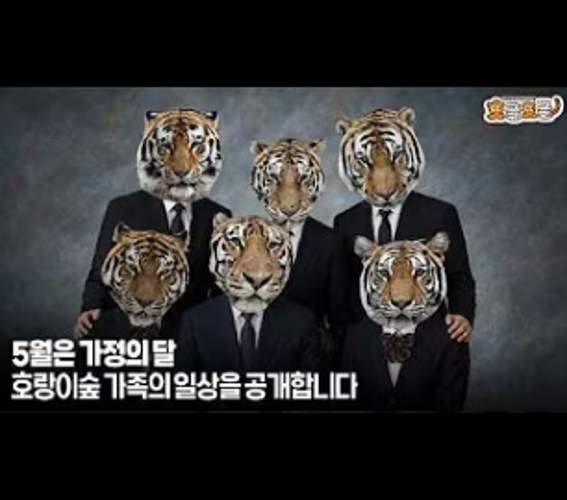 정장을 입은 호랑이 가족 단체사진