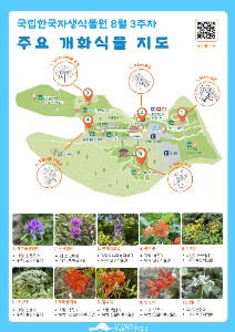8월 3주차 개화식물지도