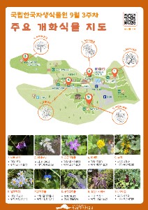 9월 3주차 개화식물 지도_인쇄용.jpg